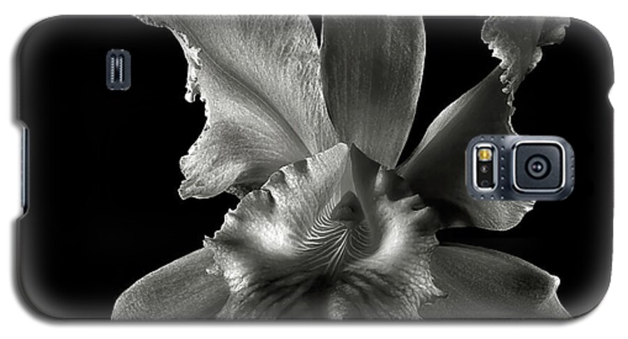 Flower Galaxy S5 Case featuring the photograph Catalea Orchid in Black and White by Endre Balogh