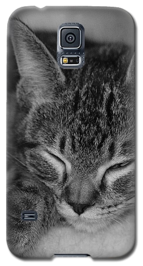 Catnap Galaxy S5 Case featuring the photograph Catnap by John Moyer
