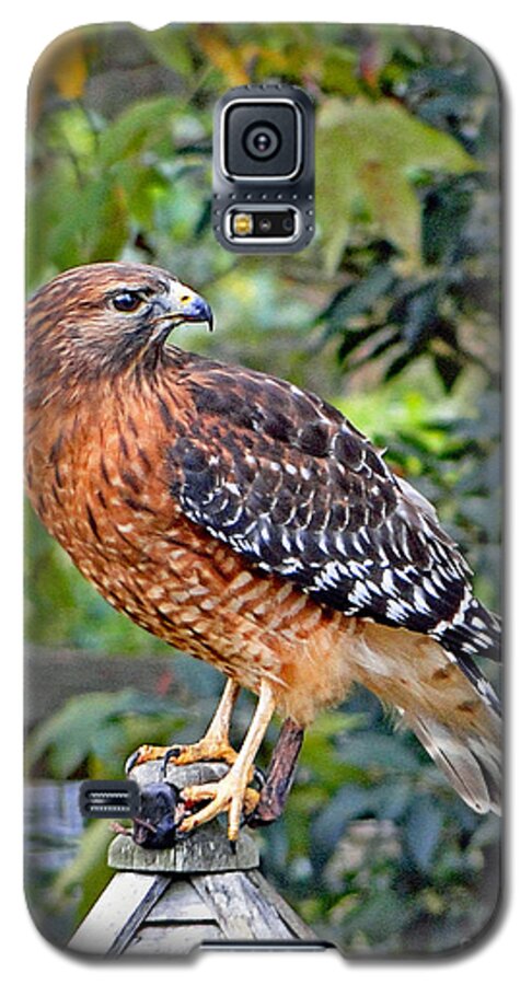 Bird Galaxy S5 Case featuring the photograph Caught in the Talons by Sue Melvin