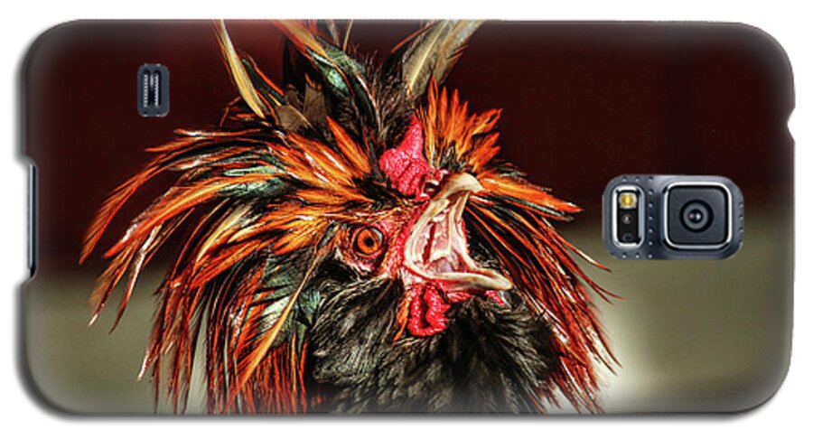 Rooster Galaxy S5 Case featuring the photograph Something to Crow About by Lynn Sprowl