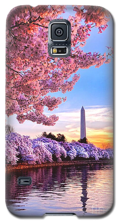 Washington Galaxy S5 Case featuring the photograph Cherry Blossom Festival by Olivier Le Queinec
