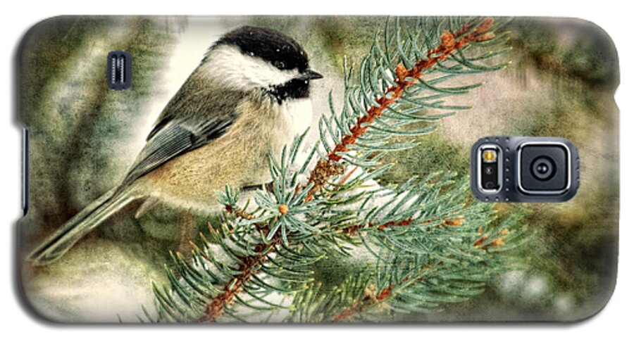 Black-capped Chickadee Galaxy S5 Case featuring the photograph Chickadee on a snowy tree by Al Mueller