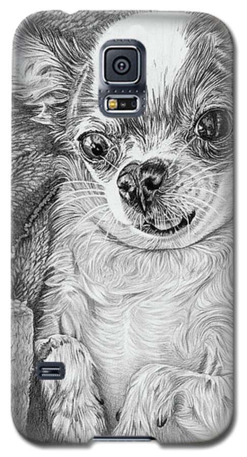 Chihuahua Galaxy S5 Case featuring the drawing Chihuahua by Dan Menta