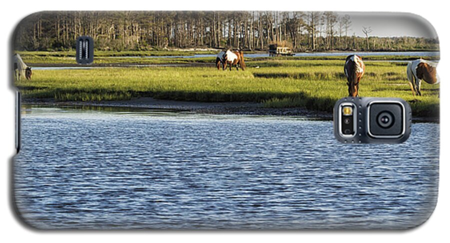 Ponies Galaxy S5 Case featuring the photograph Chincoteague Ponies on Assateague Island by Belinda Greb