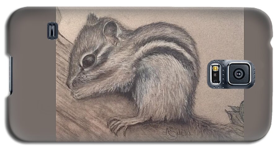 Tennessee Wildlife Galaxy S5 Case featuring the drawing Chipmunk, TN Wildlife Series by Annamarie Sidella-Felts