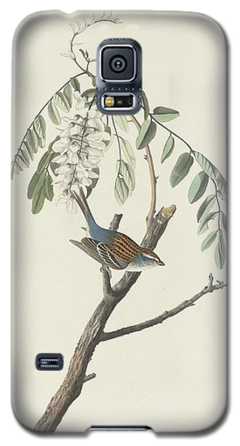 Audubon Galaxy S5 Case featuring the drawing Chipping Sparrow by Dreyer Wildlife Print Collections 