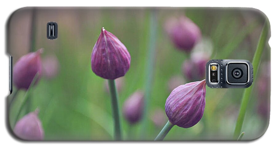 Chives Galaxy S5 Case featuring the photograph Chives by Lyn Randle