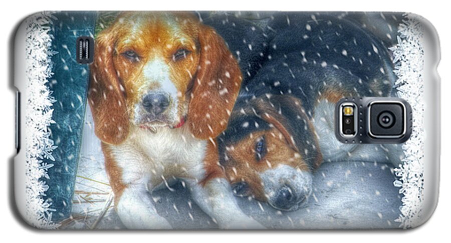Beagles Galaxy S5 Case featuring the photograph Christmas Brothers by Amanda Eberly