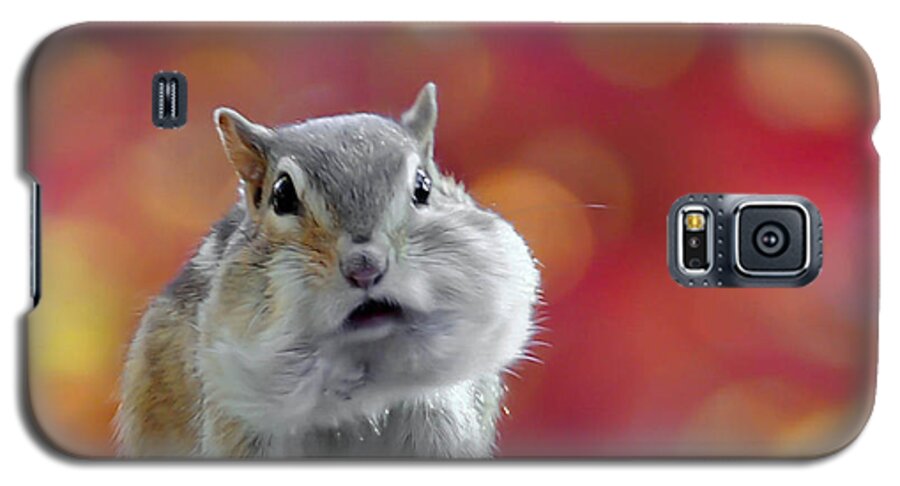 Chipmunk Galaxy S5 Case featuring the photograph Chubby Cheeks by Geraldine Alexander