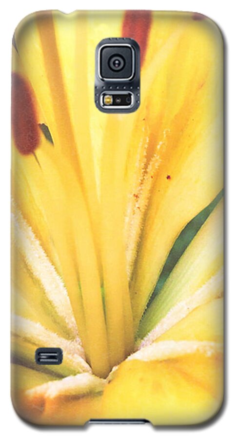 Blossom Galaxy S5 Case featuring the photograph Citrine Blossom by Sand And Chi