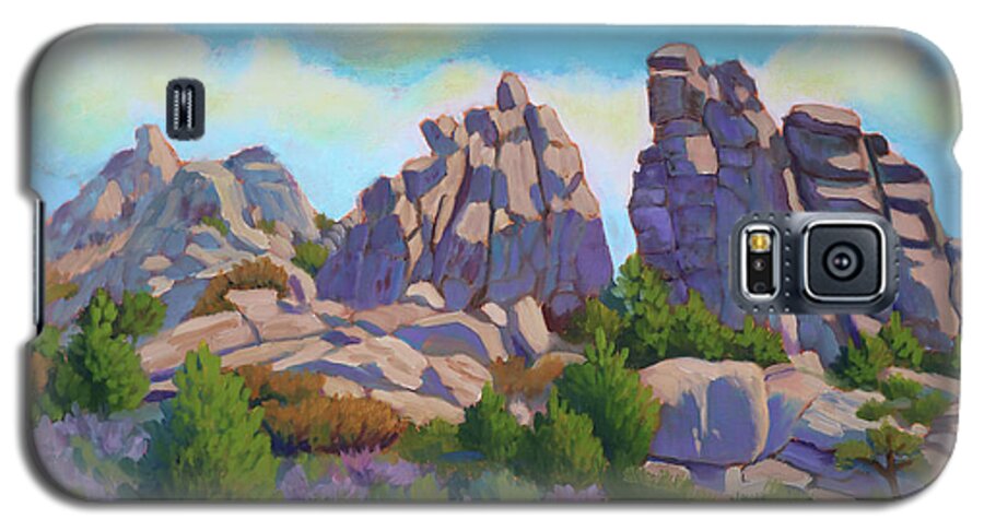 Idaho Galaxy S5 Case featuring the painting City of Rocks by Kevin Hughes