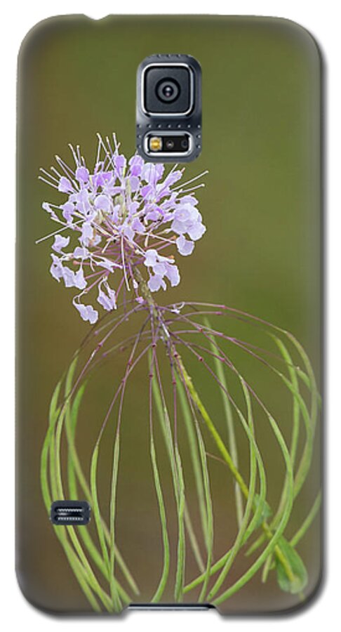 Warea Galaxy S5 Case featuring the photograph Clasping Warea by Paul Rebmann