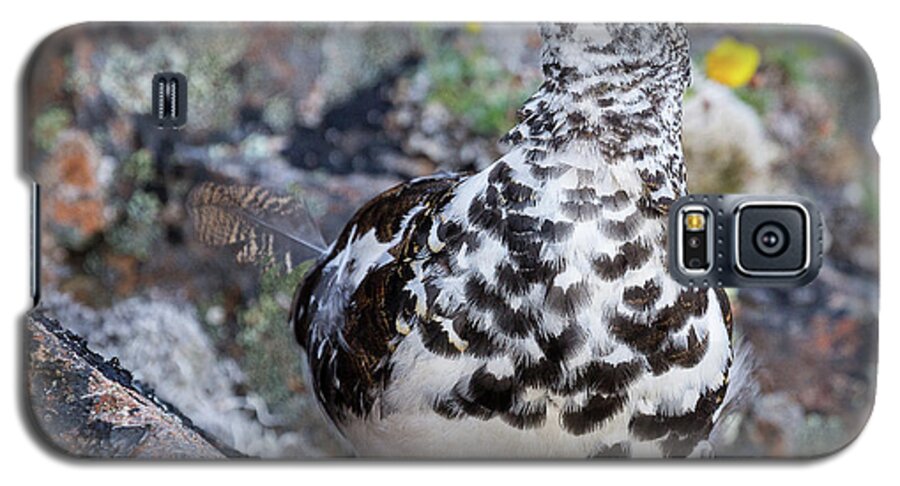 Ptarmigan Galaxy S5 Case featuring the photograph Cliffside Showoff by Tim Newton