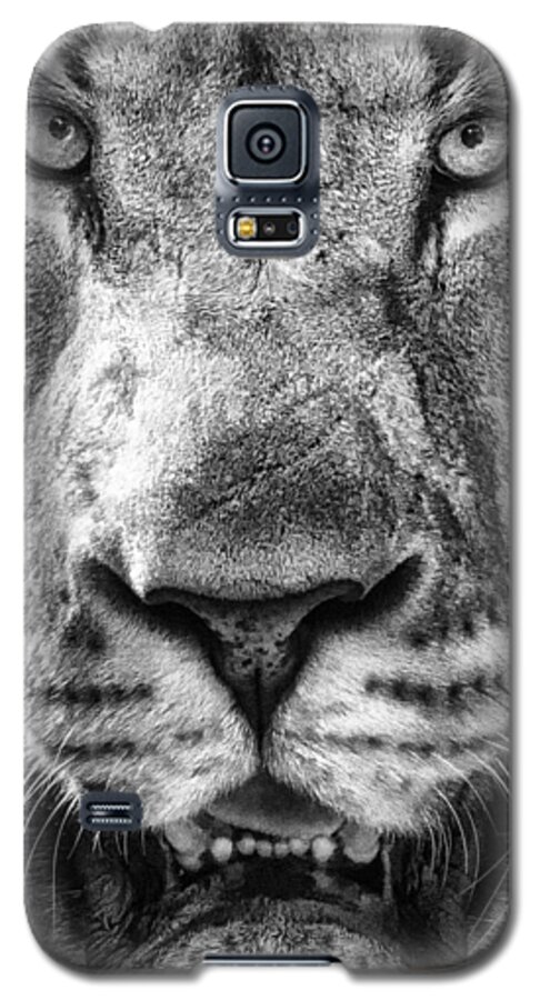 Crystal Yingling Galaxy S5 Case featuring the photograph Close and Personal by Ghostwinds Photography