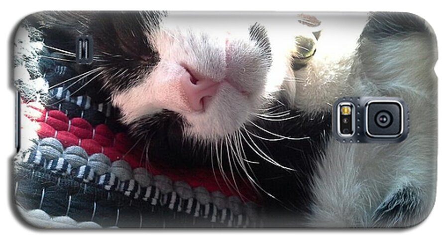 Cat Galaxy S5 Case featuring the photograph Close Up GATchee by Sukalya Chearanantana