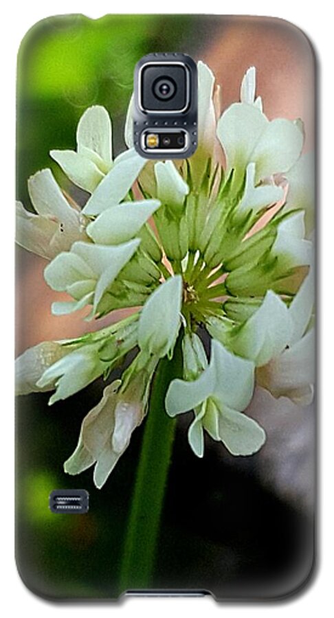 Lupins Galaxy S5 Case featuring the photograph Clover #2 by Michael Graham