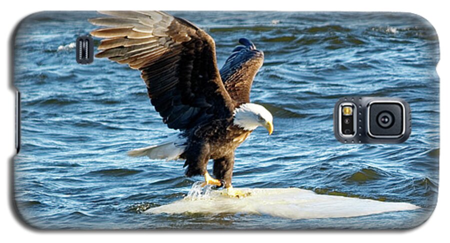 Bald Eagle Galaxy S5 Case featuring the photograph Cold Landing by Peter Ponzio