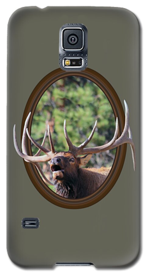 Bull Elk Galaxy S5 Case featuring the photograph Colorado Bull Elk by Shane Bechler
