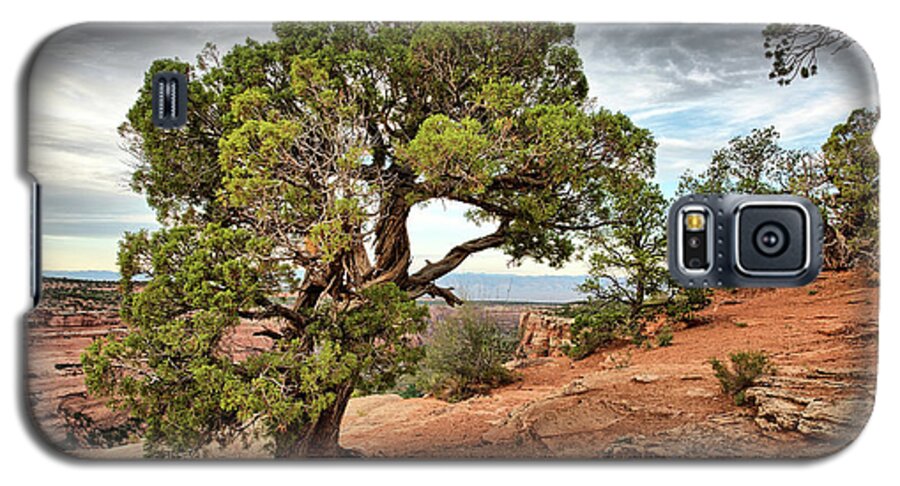 Canyon Galaxy S5 Case featuring the photograph Colorado National Monument by Kyle Lee