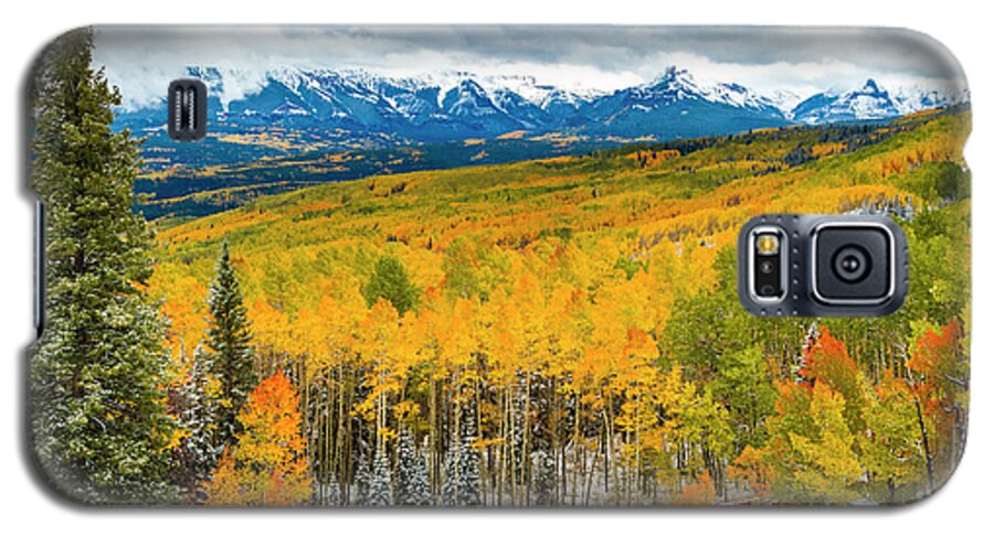 Aspen Trees Galaxy S5 Case featuring the photograph Colorado Valley of Autumn Color by Teri Virbickis