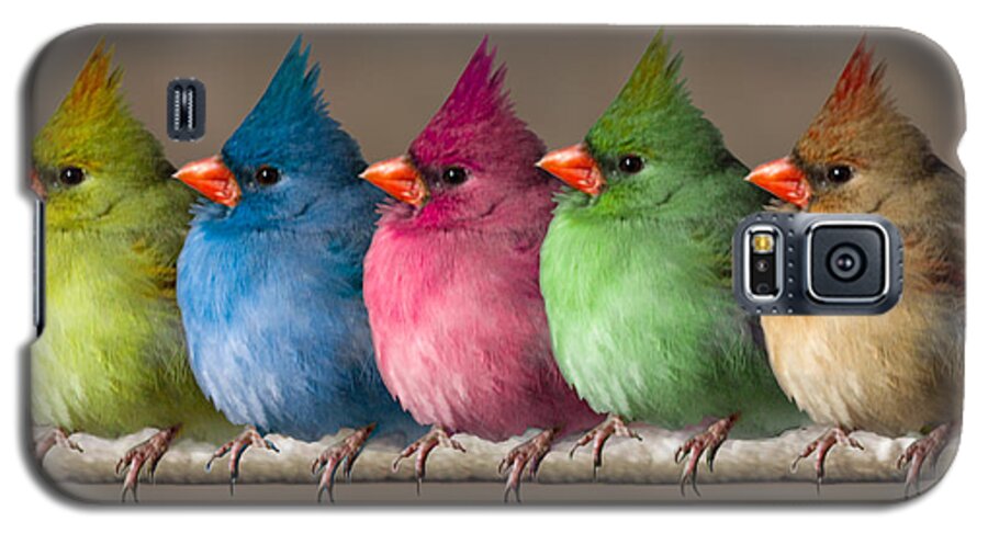 Birds Galaxy S5 Case featuring the photograph Colored Chicks by John Haldane