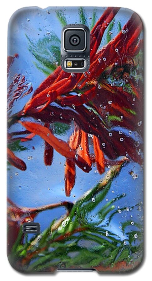Colors Of Nature Galaxy S5 Case featuring the photograph Colors of Nature by Sami Tiainen