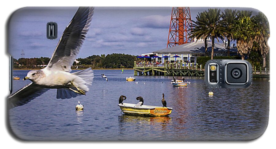 Ahingas Sitting On A Boat Galaxy S5 Case featuring the photograph Coming In For A Landing #2 by Mary Lou Chmura