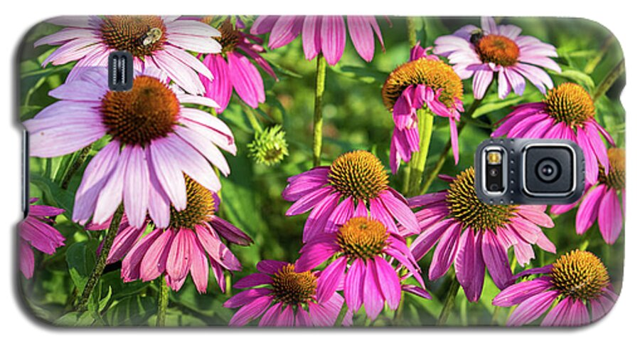 Echinacea Galaxy S5 Case featuring the photograph Coneflower Garden by Eleanor Abramson