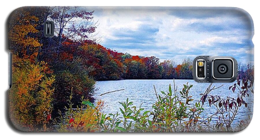 Alma Galaxy S5 Case featuring the photograph Conservation Park and Pine River in the Fall by Chris Brown