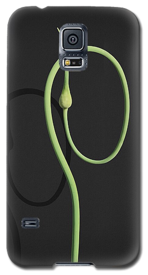 Leek Galaxy S5 Case featuring the photograph Contortionist Leek by Joe Bonita