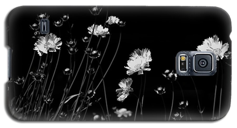 Black And White Galaxy S5 Case featuring the photograph Coreopsis by JGracey Stinson