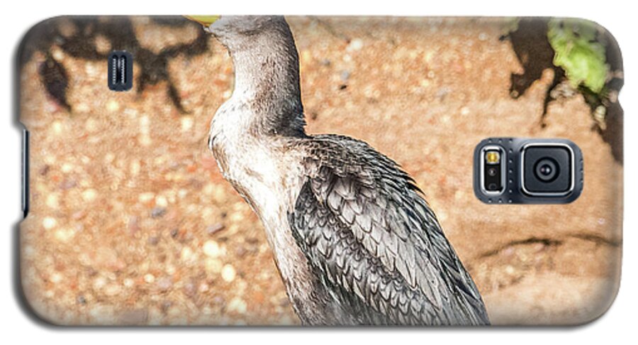 Cormorant Galaxy S5 Case featuring the photograph Cormorant on Shore by Paul Freidlund