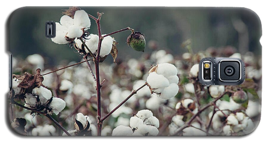 Fluffy Galaxy S5 Case featuring the photograph Cotton Field 5 by Andrea Anderegg
