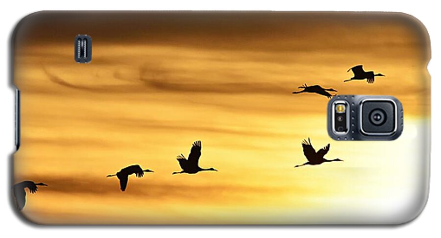 Photography Galaxy S5 Case featuring the photograph Cranes at Sunrise 2 by Larry Ricker