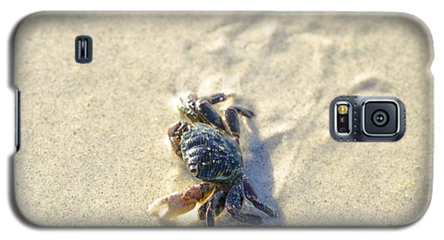 Crab Galaxy S5 Case featuring the photograph Crawling Back to You by Spencer Hughes