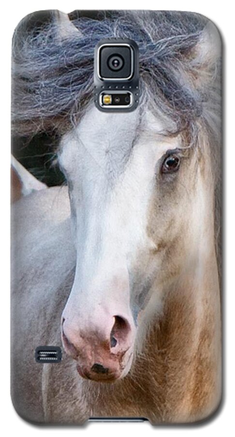 Horse Galaxy S5 Case featuring the photograph Crazy Hair by Sharon Jones