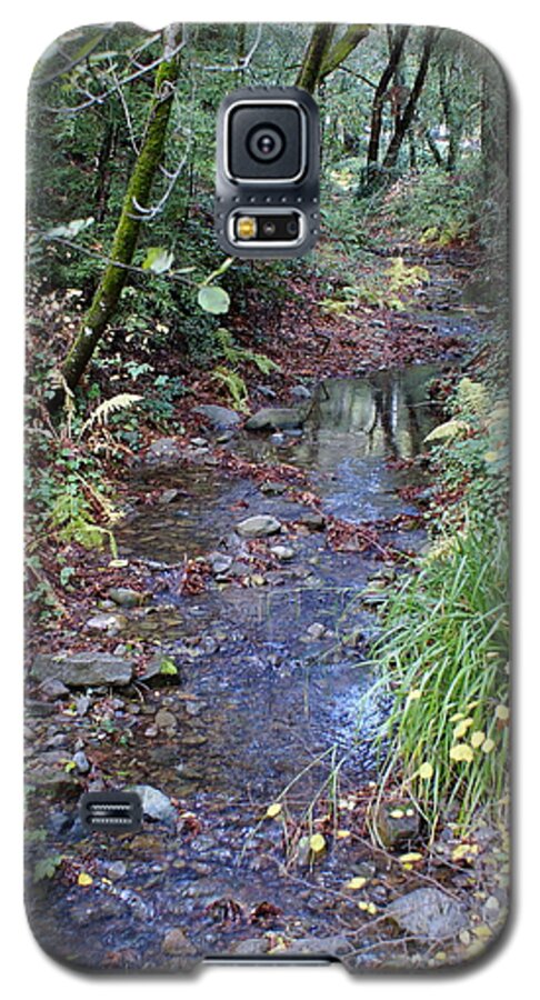 Mount Tamalpais Galaxy S5 Case featuring the photograph Creek on Mt Tamalpais 2 by Ben Upham III