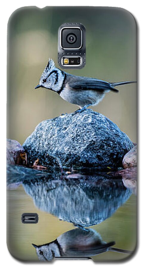 Crested Tit's Reflection Galaxy S5 Case featuring the photograph Crested Tit's reflection by Torbjorn Swenelius