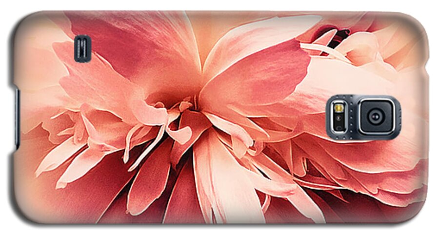 Flower Galaxy S5 Case featuring the photograph Crimson Ballet Powder Puff by Darlene Kwiatkowski