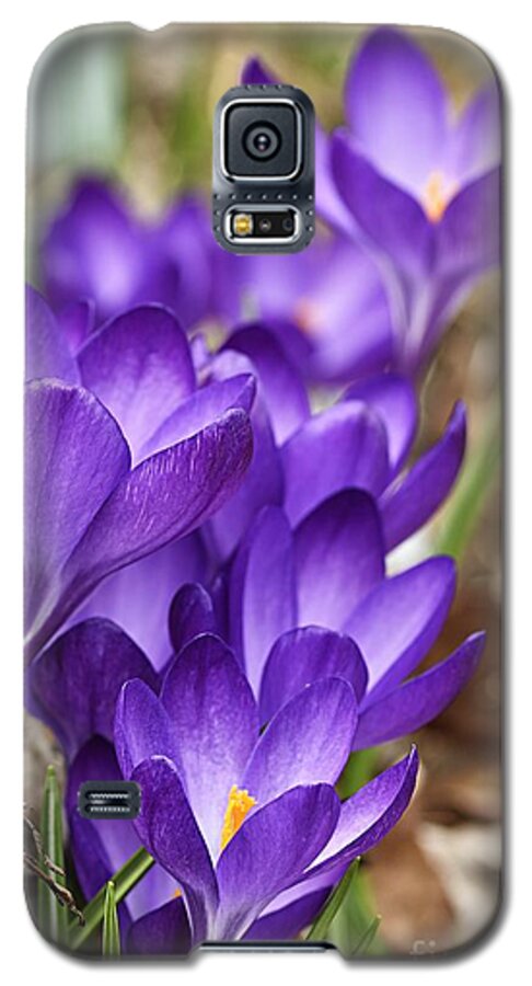 Photography Galaxy S5 Case featuring the photograph Crocuses by Larry Ricker