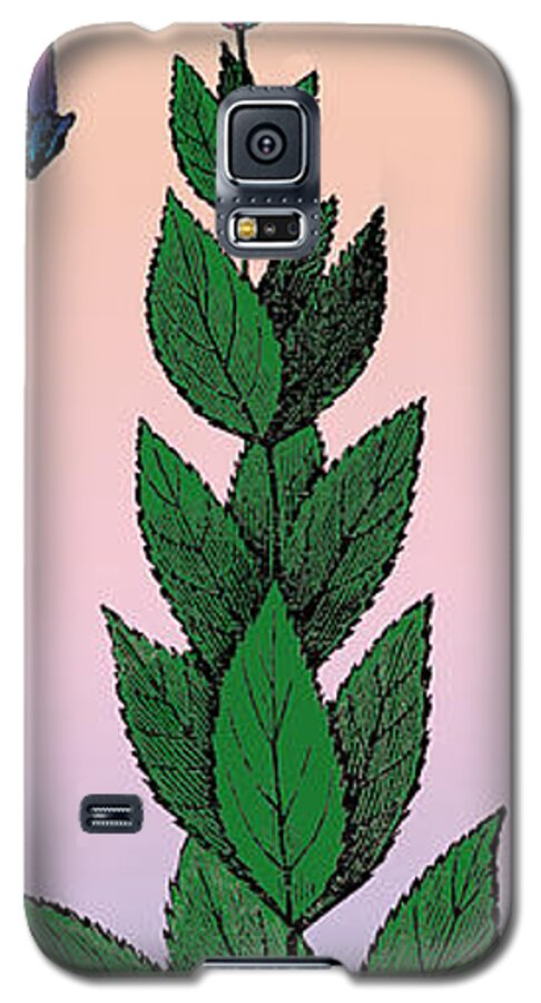 Culver's Root Galaxy S5 Case featuring the digital art Culvers Root by Eric Edelman