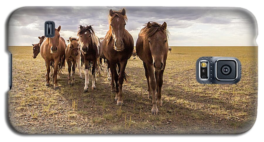 Curious Galaxy S5 Case featuring the photograph Curious Horses by Hitendra SINKAR