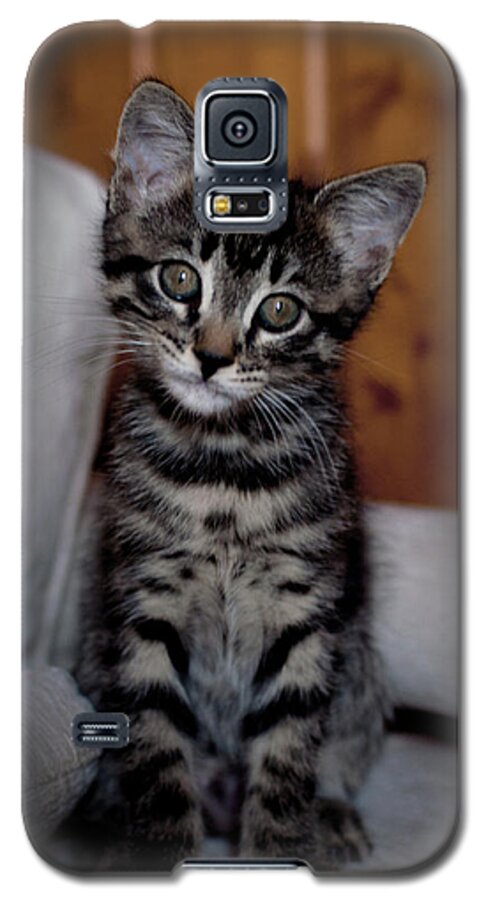 Cat Galaxy S5 Case featuring the photograph Cute by Laura Melis