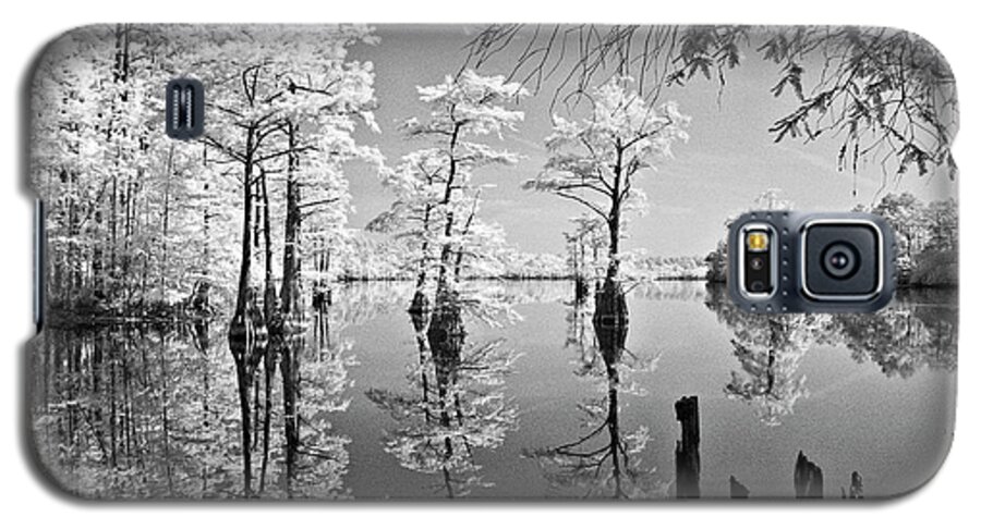 Cypress Galaxy S5 Case featuring the photograph Cypress in Walkers Mill Pond by Bob Decker