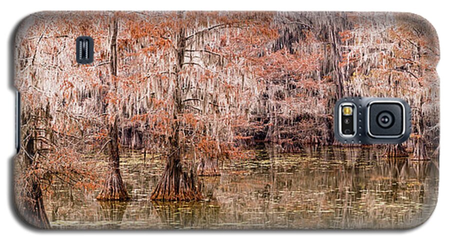 Caddo Lake State Park Galaxy S5 Case featuring the photograph cypress trees in caddo lake state park, TX by Mati Krimerman