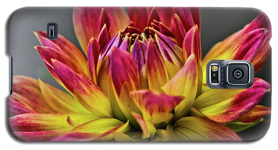 Flower Photographs Galaxy S5 Case featuring the photograph Dahlia Flame by Joann Copeland-Paul