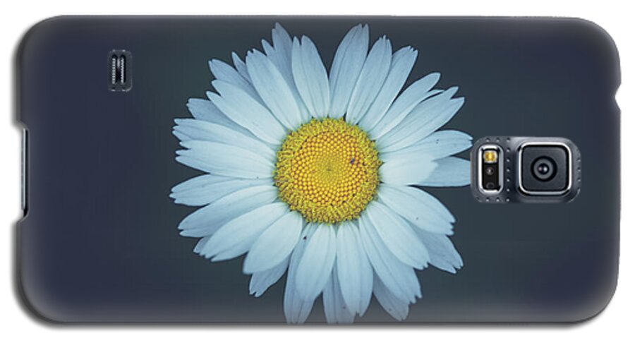 Daisy Galaxy S5 Case featuring the photograph Daisy by Shane Holsclaw