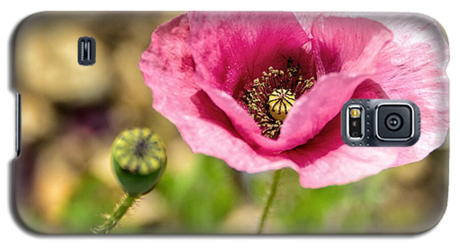 Poppies Galaxy S5 Case featuring the photograph Dancing Pink Poppy by Marion McCristall