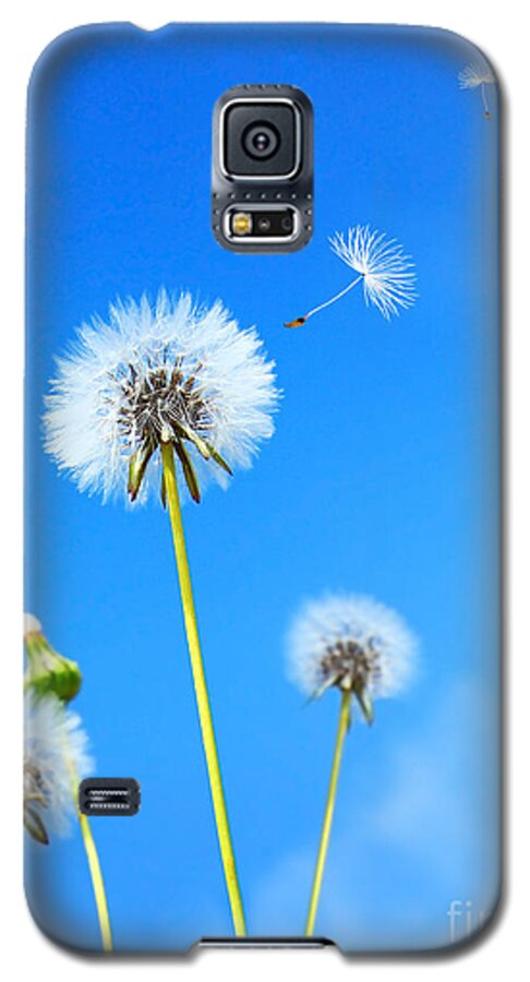 Abstract Galaxy S5 Case featuring the photograph Dandelion field by Anna Om