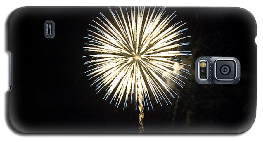 Fire Works Galaxy S5 Case featuring the photograph Dandelion Life by Tara Lynn